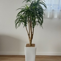 人工観葉植物　ユッカの木　高さ104cm