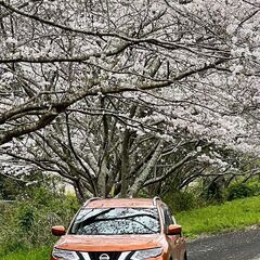 【ネット決済・配送可】日産 エクストレイル ２０Ｘ