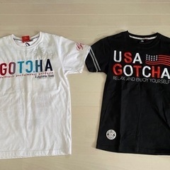 GOTCHA3着