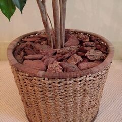 ■観葉植物 造花 フェイクグリーン EMILIO ROBBA エミリオ ロバ■