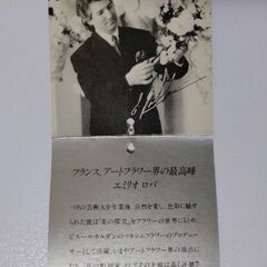 ■観葉植物 造花 フェイクグリーン EMILIO ROBBA エミリオ ロバ■