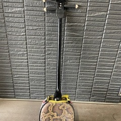 三線　沖縄　蛇皮　爪付き