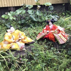 雛人形7段飾り　人形の勝村
