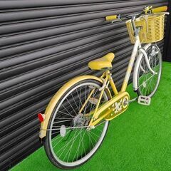 子供自転車】BRIDGESTONE ブリヂストン ECOPAL エコパル 24インチ