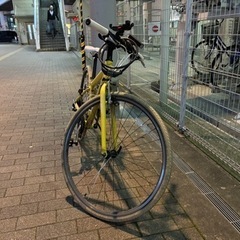 【付属品多数❗️】ルイガノ セッター8