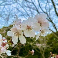 女性の友達探してます🍀*゜