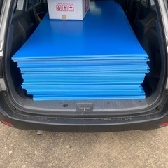 期間限定>青ベニヤ 50枚 1800×900×3mm