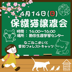 4/14名古屋保護猫譲渡会