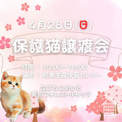 4/28 名古屋保護猫譲渡会の画像