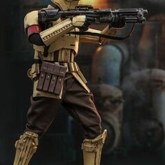 新品未開封Hottoys ホットトイズ TMS031 1/6 スター・ウォーズ『マンダ 