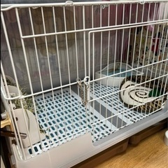 うさぎなどの飼育用品