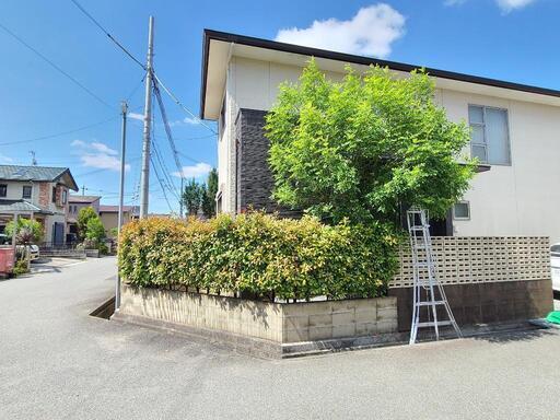 ○植木剪定 ○草刈り などなど承ります。