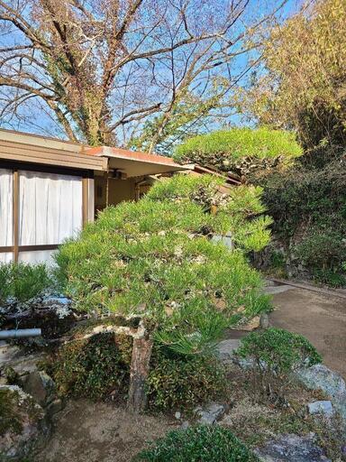 ○植木剪定 ○草刈り などなど承ります。