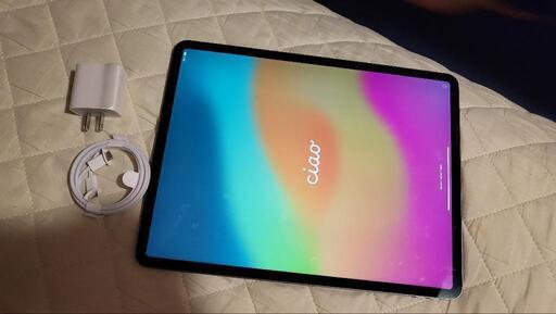 ipad pro 12.9インチ 第3世代 256GB (予約中)