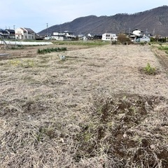 畑のシェアリングチーム🌱andワクチン未接種仲間✨