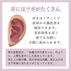 【今だけキット付き】1Day👂🏼耳ツボセラピー講座🩷 - 那覇市