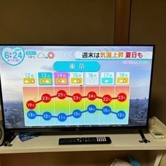 家電 テレビ 液晶テレビ