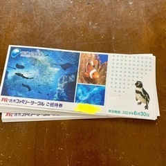 新江ノ島水族館招待券