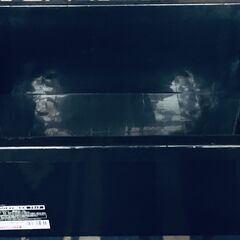 メダカ飼育容器　NV BOX 22 （ブラック）2個セット