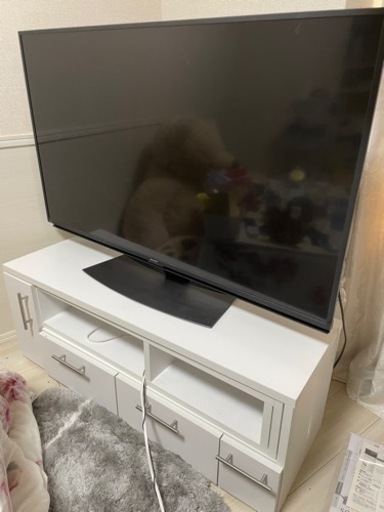 家電 テレビ 液晶テレビ