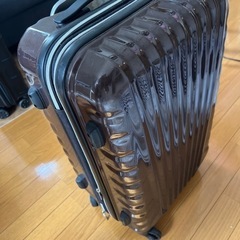 【13・14日受け渡し】スーツケース　3泊〜5泊分程度