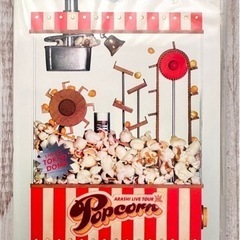 嵐 Popcorn/ポップコーン 通常盤 DVD2枚組 美品