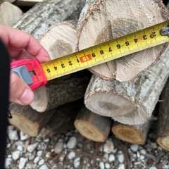 ナラの木栽培標準の木ナラ5本追加しいたけ栽培2000円