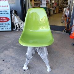 不二貿易 リプロダクトチェア 椅子 緑 グリーン