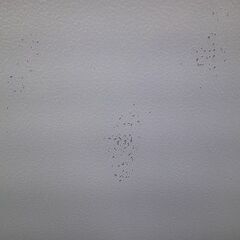 ID:G60404359　冷蔵庫　２ドア　179L　ヤマダ　２１年式　※左側面キズ有