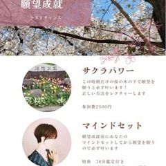 🌸桜シャワ～✨で願望成就in 浮間公園 🌸
