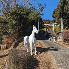 メンバー募集👀