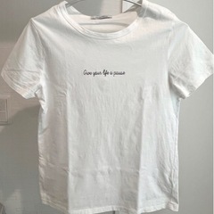 【美品】しまむら レディース 白Tシャツ Lサイズ