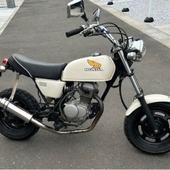 ホンダ　エイプ50