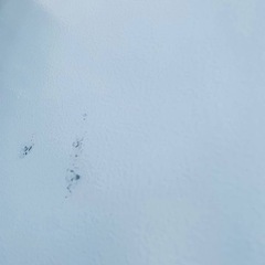 ワールプールジャパン ノンフロン冷凍冷蔵庫 YRZ-F15J