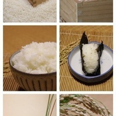 令和5年産　特別栽培米コシヒカリ　30kg  玄米