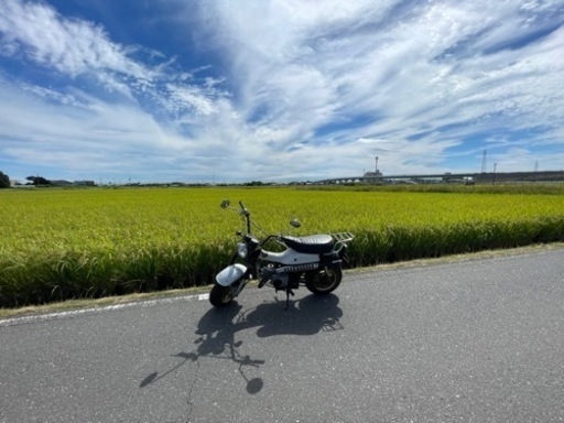 スズキ　バンバン　50