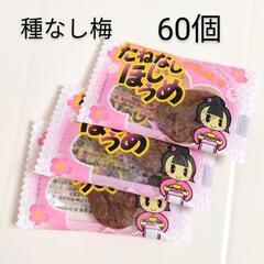 種なし干し梅 60個500円 (30個250円)