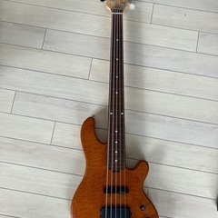 5弦ベース LAKLAND SK-5 DX フレットレス