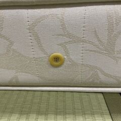 【決定】magniflex　マニスポーツ（S）