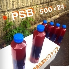 🅿️Ｓ🅱️1012★ PSB ⒋本+水槽+11.Ｌ.グリーン水セ...