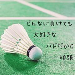 5日31日バドミントンやりませんか?