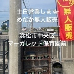 4月13.14日　無人販売営業します　♯めだか