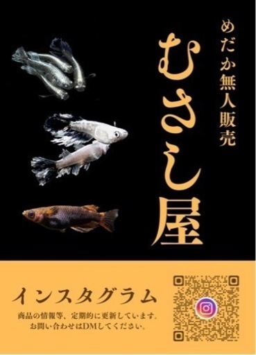 めだか　無人販売
