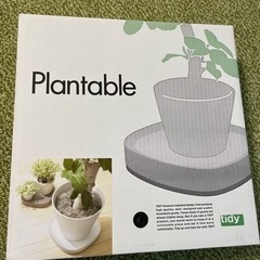 新品未開封　植木鉢トレー黒  キャスター付き　tidy Plan...