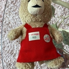 チャーム　TED  テッド　Ted 2 Bay Colony F...