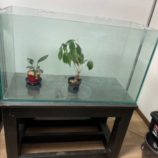 水槽