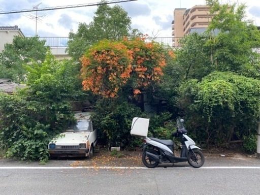 決定しました！アドレス110 フードデリバリー特別仕様