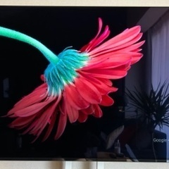 【ネット決済】SONY BRAVIA ブラビア 55型 4K対応...