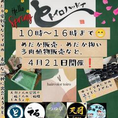 ４月２１日開催❗めだかシーズン到来❗今年もめだか販売めだか...