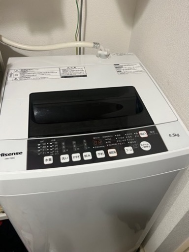 家電 生活家電 洗濯機
